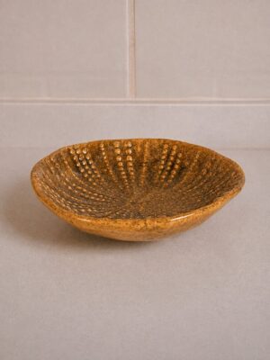 BOWL ERIZO
